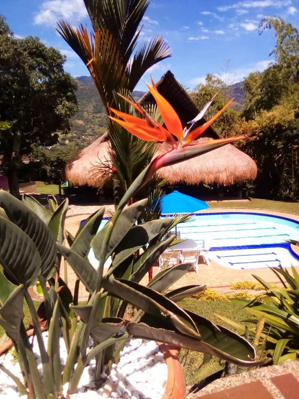 Finca La Cabañita