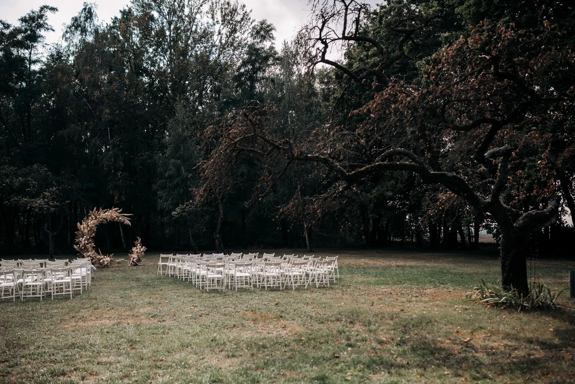 Montaje sereno de boda al aire libre con sillas y un arco rústico en un jardín exuberante.