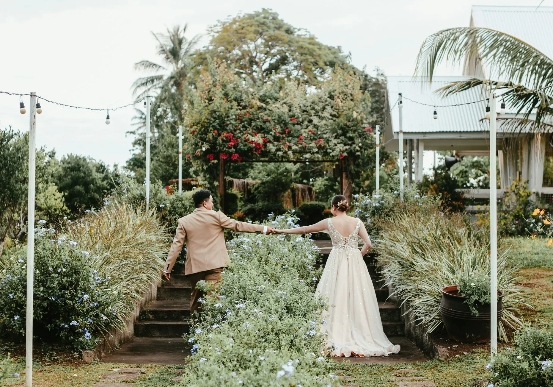 Una pareja de recién casados de la mano en un jardín frondoso, capturada desde atrás (imagen de referencia)