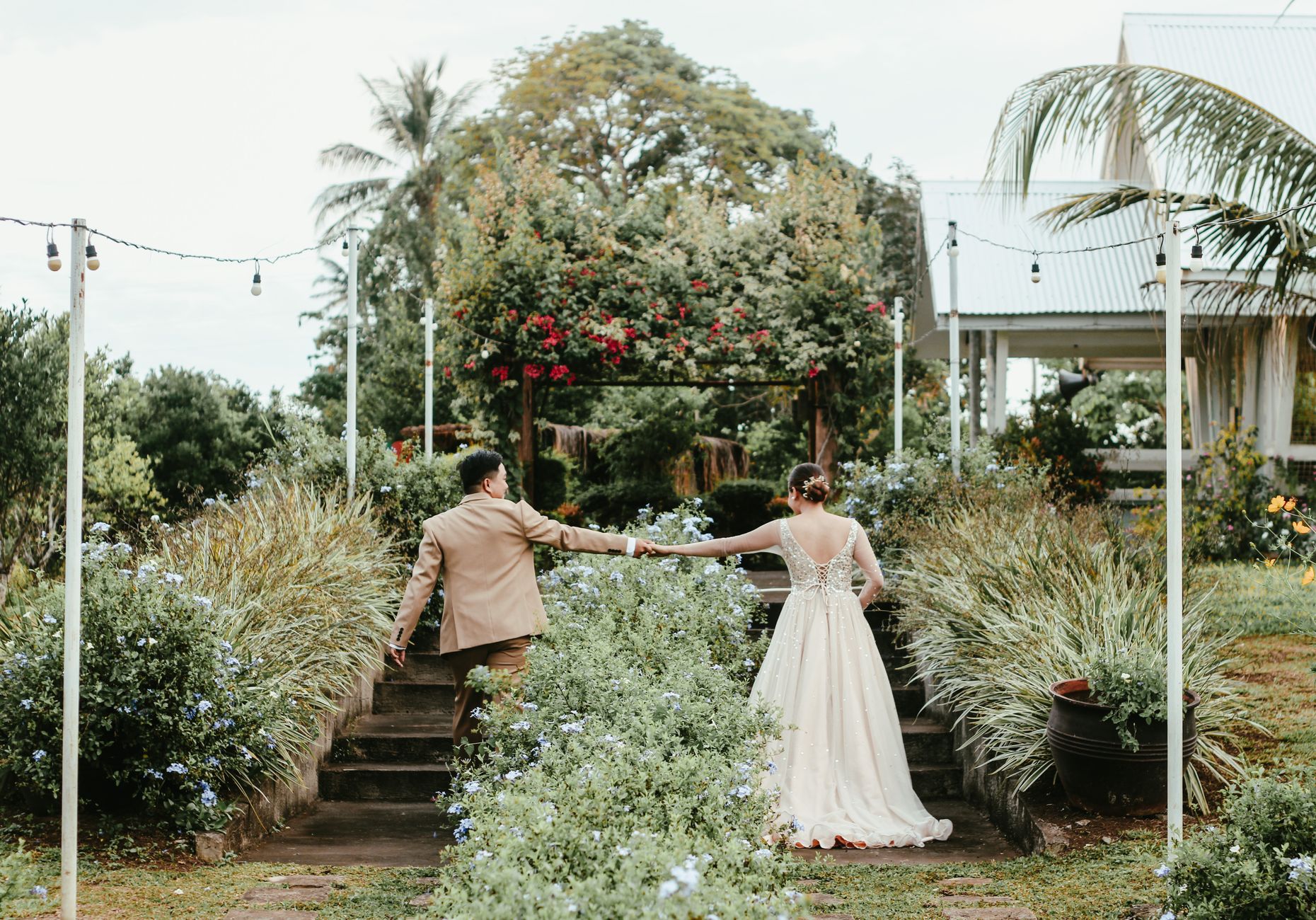 Una pareja de recién casados de la mano en un jardín frondoso, capturada desde atrás.
