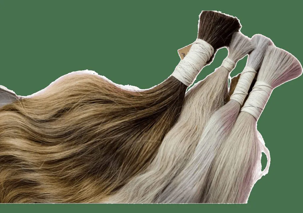 Extensiones e Imagen