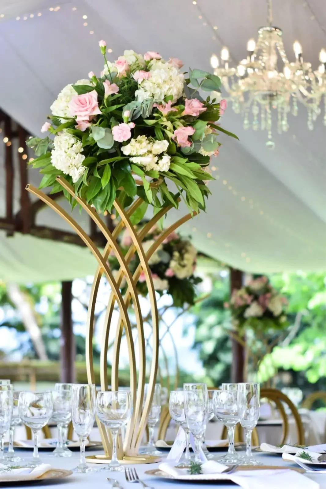 Eventos Sanz Martínez en Pereira: foto 4