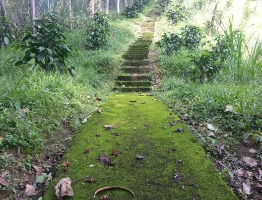 Finca La Cascada en Silvania: foto 1