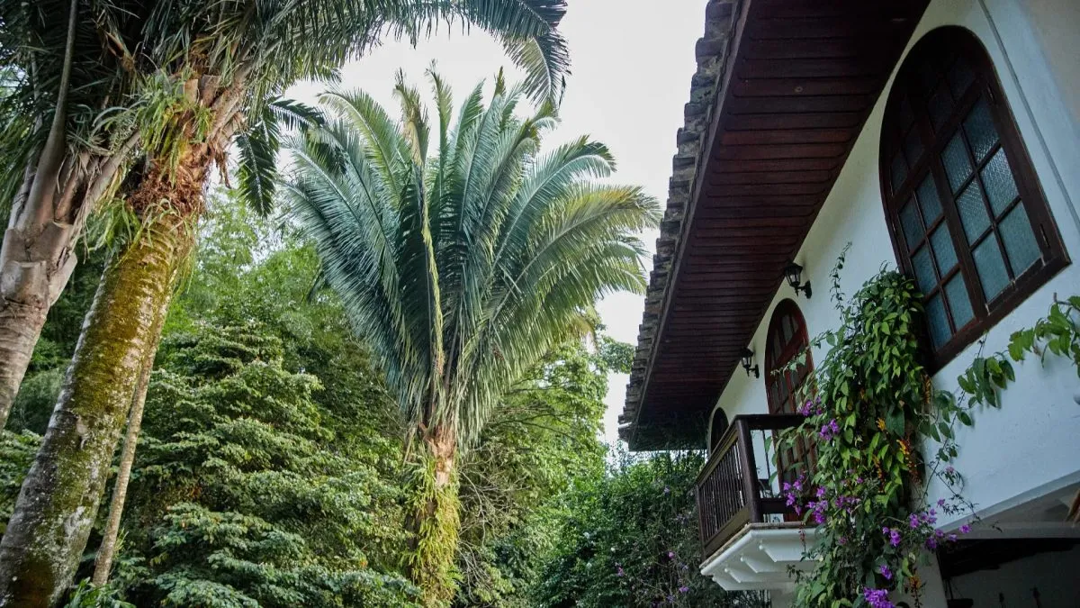 Hacienda San José en Pereira: foto 3