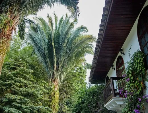 Hacienda San José en Pereira: foto 3