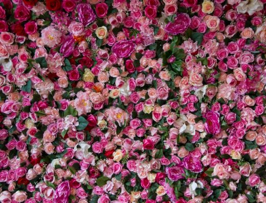 Imagen de referencia: foto cabina y 360 para bodas
