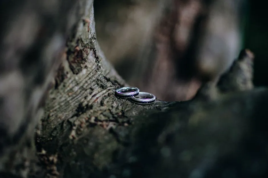 Imagen de referencia: fotografía de bodas