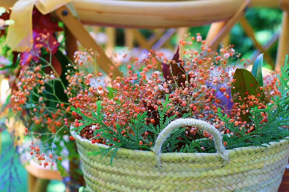 Imagen de referencia: hacienda y espacio campestre para bodas