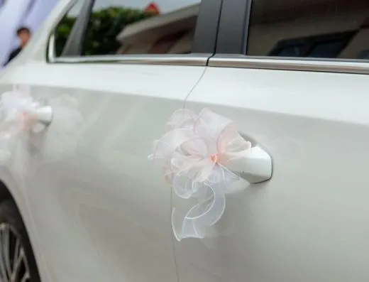 Imagen de referencia: transporte de invitados para bodas