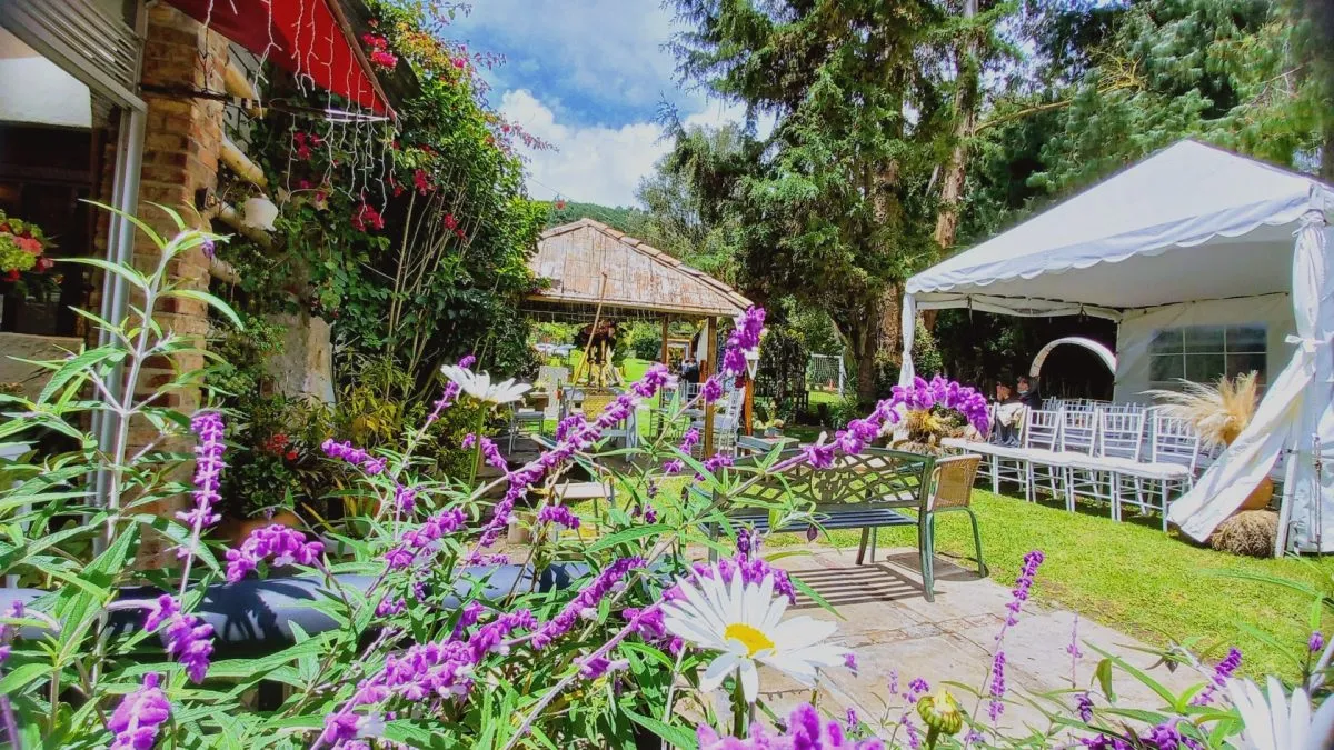 Marquissa Arte y Eventos en Chía: foto 4