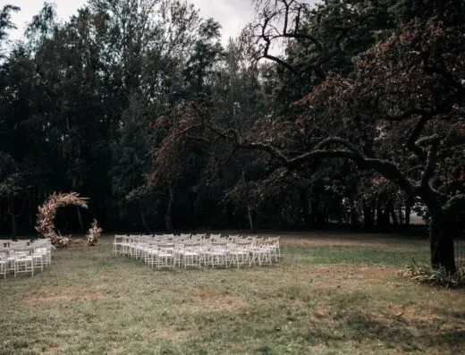 Montaje sereno de boda al aire libre con sillas y un arco rústico en un jardín exuberante.