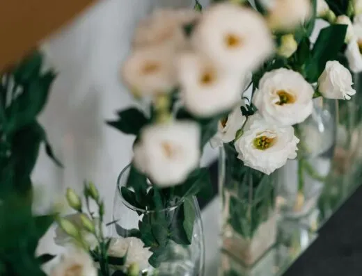 Primer plano de hermosas flores blancas en jarrones de vidrio con un fondo suave.
