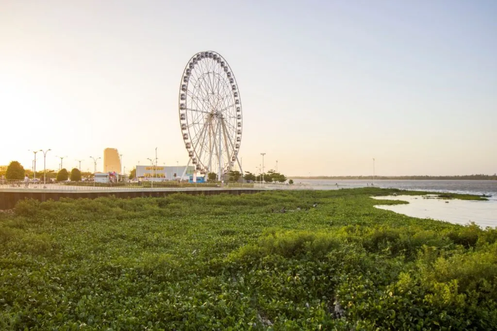 Barranquilla
