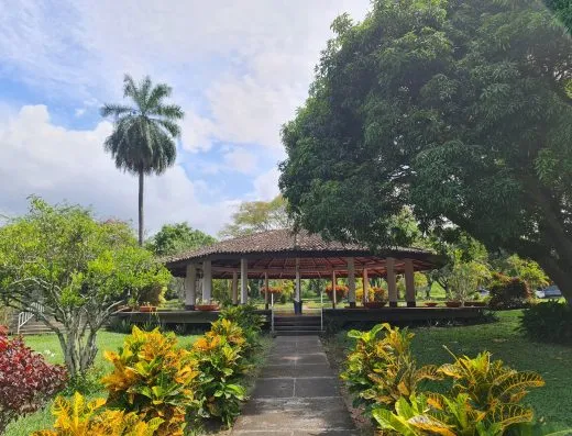 Club Campestre Shalom en Cali: foto 1