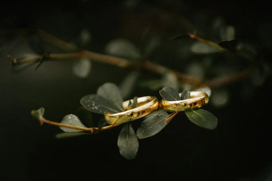 Imagen de referencia: argollas de matrimonio para bodas