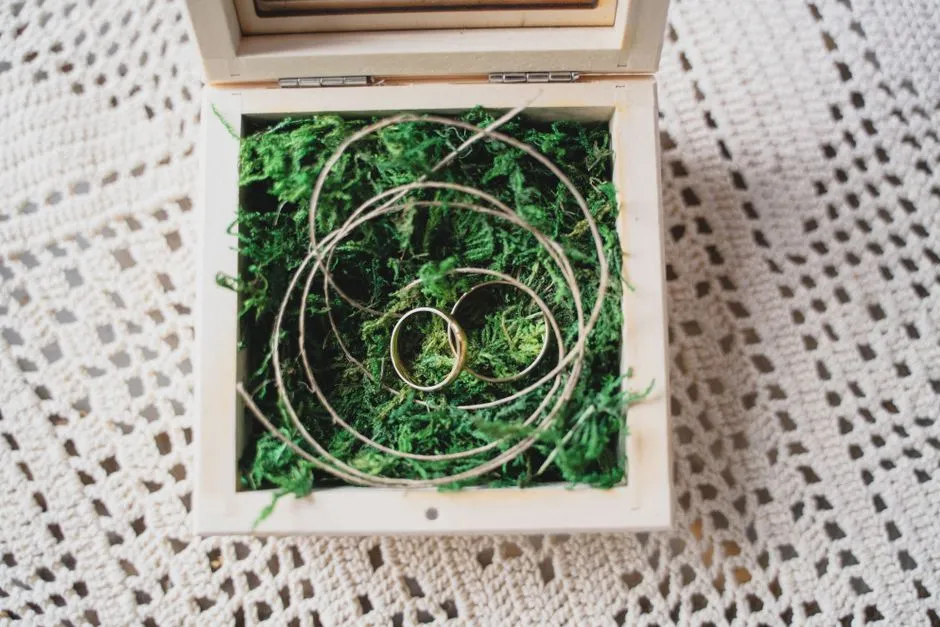Imagen de referencia: argollas de matrimonio para bodas