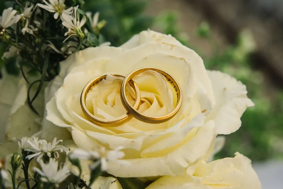 Imagen de referencia: argollas de matrimonio para bodas
