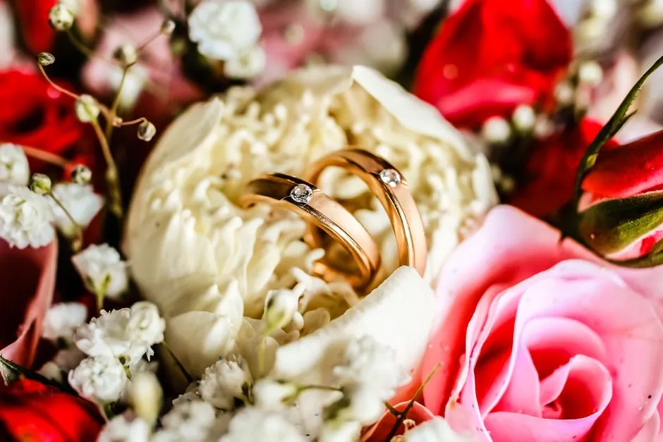 Imagen de referencia: argollas de matrimonio para bodas