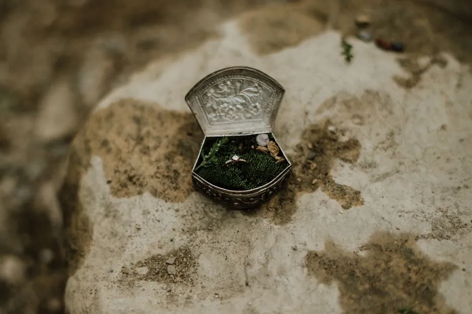 Imagen de referencia: argollas de matrimonio para bodas