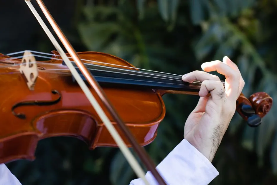 Imagen de referencia: bandas y música en vivo para bodas