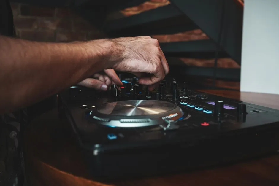 Imagen de referencia: DJ para bodas