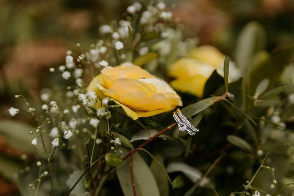 Imagen de referencia: fotografía de bodas