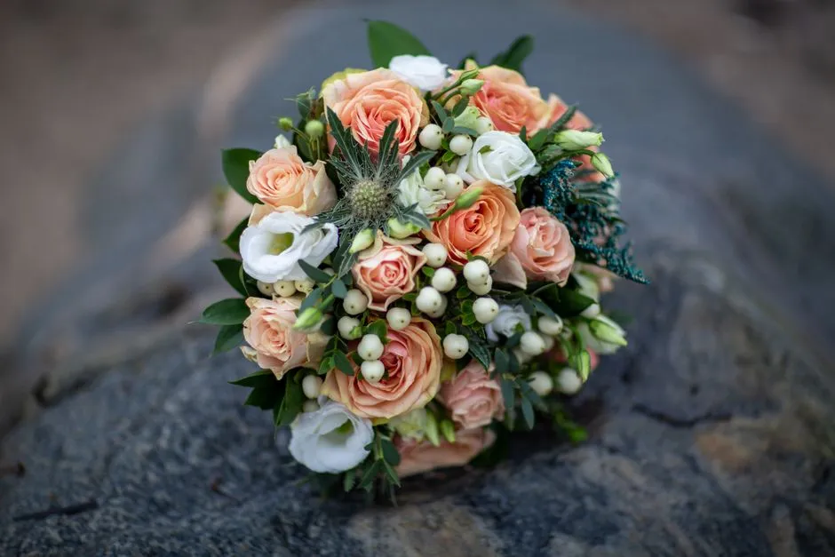 Imagen de referencia: fotografía de bodas
