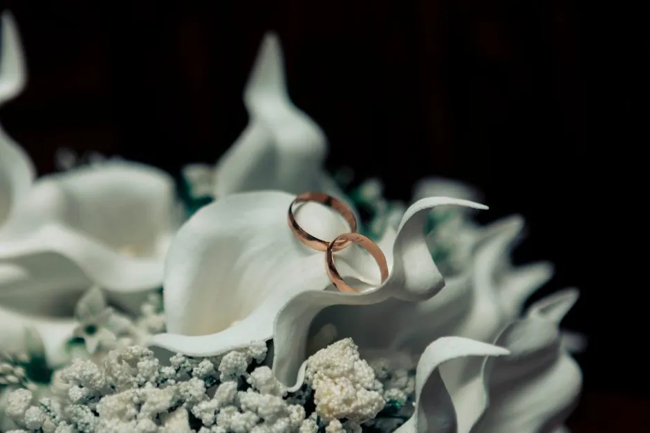 Imagen de referencia: fotografía de bodas