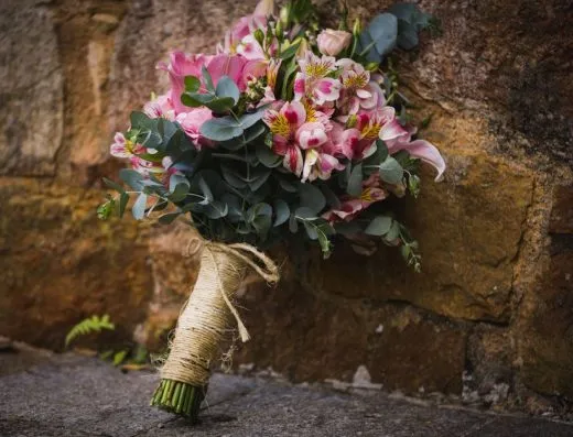 Imagen de referencia: fotografía de bodas