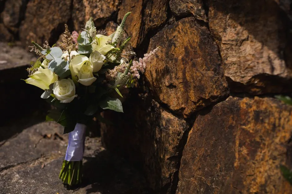 Imagen de referencia: fotografía de bodas