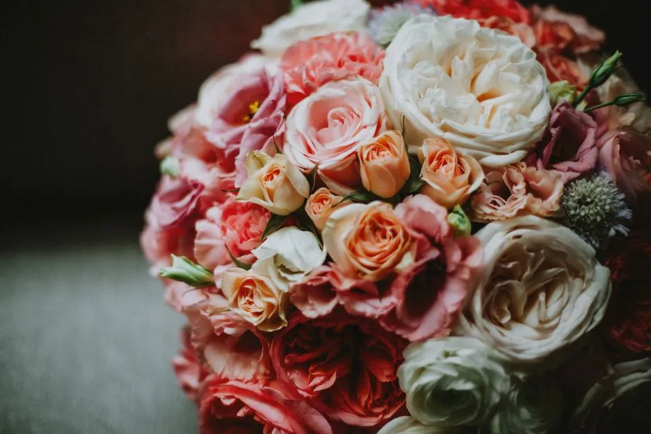 Imagen de referencia: fotografía de bodas