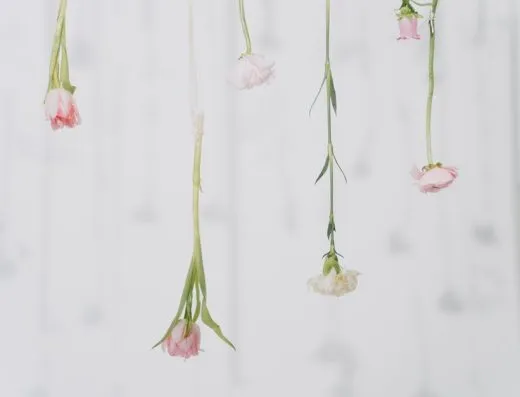 Imagen de referencia: hotel para bodas