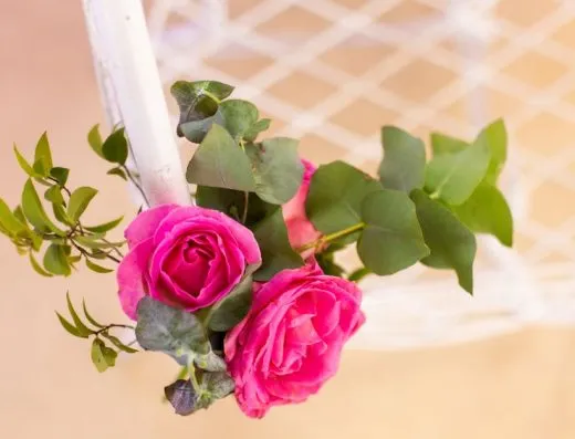 Imagen de referencia: salón de eventos para bodas