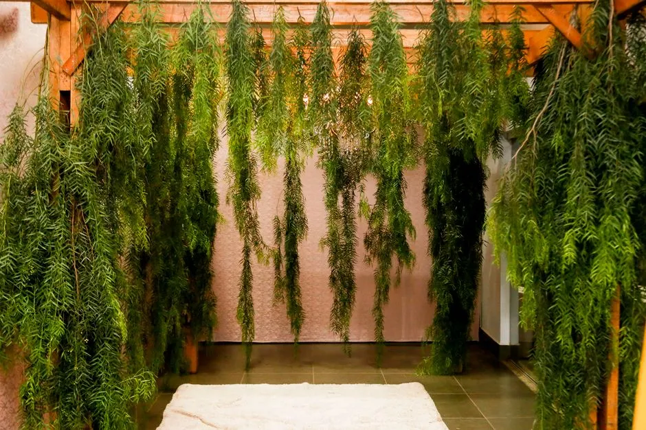Imagen de referencia: salón de eventos para bodas