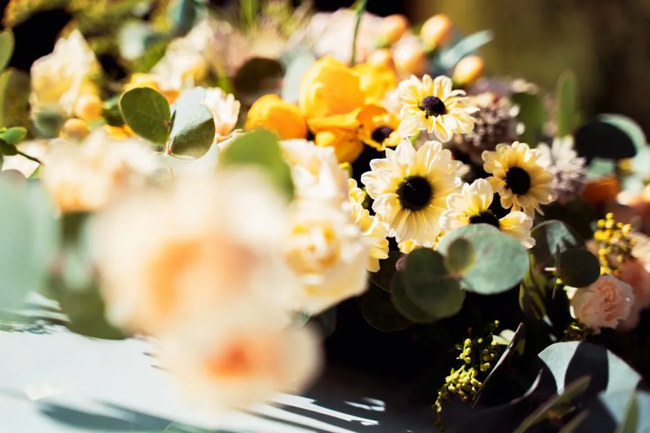 Imagen de referencia: salón de eventos para bodas