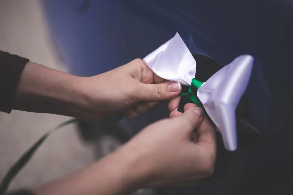 Imagen de referencia: transporte de invitados para bodas