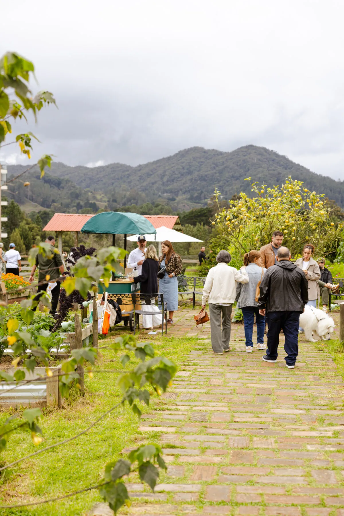 Huerta de Volver con vista a las montañas de Las Palmas