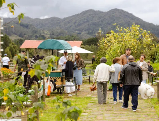 Huerta de Volver con vista a las montañas de Las Palmas